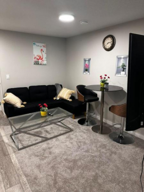 Newly Built 2-Bedroom, 2 full bath Basement Suite